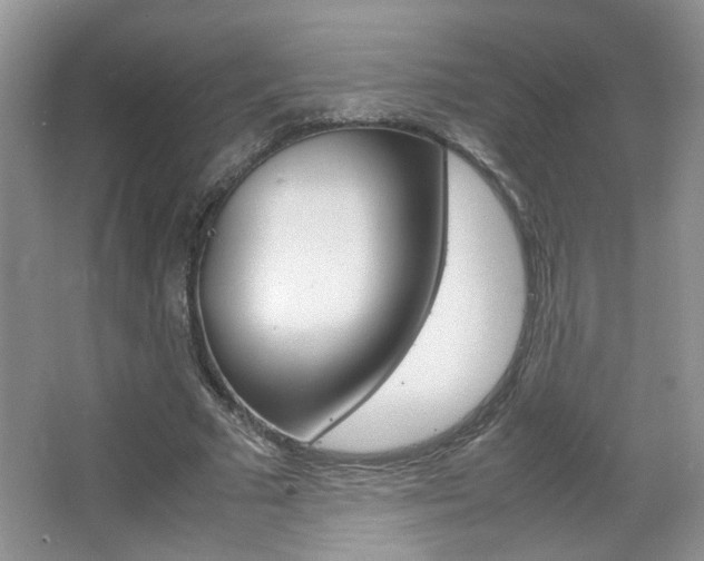 X0000067870681200604131015