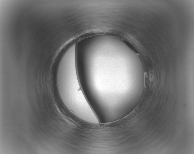 X0000067870684200604131015