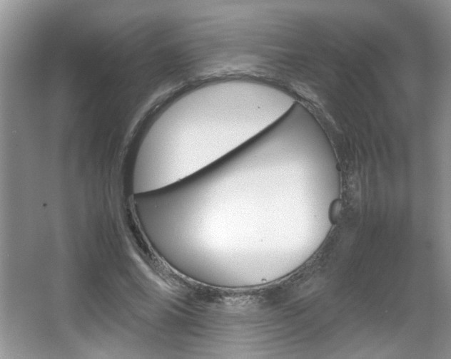 X0000067870686200604131015