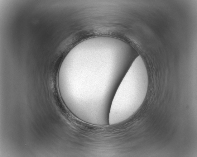 X0000067870687200604131015