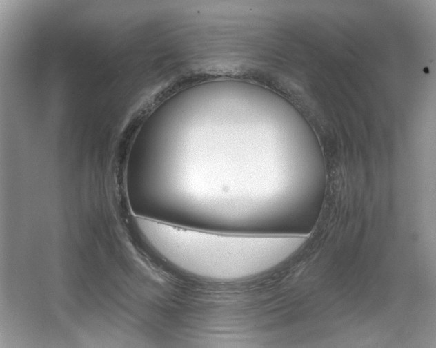 X0000067870688200604131015