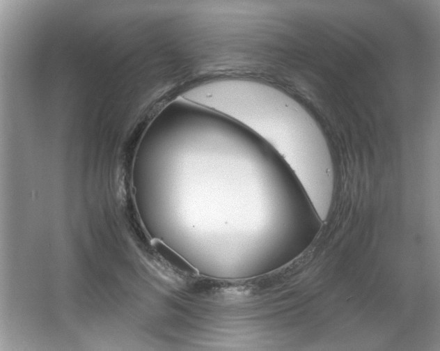 X0000067870692200604131015