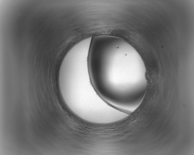 X0000067870693200604131015