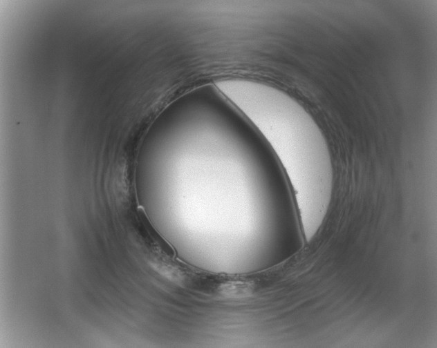 X0000067870700200604131015