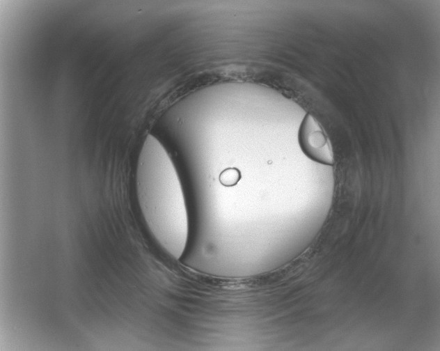 X0000067870702200604131015