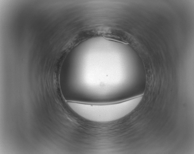 X0000067870704200604131015