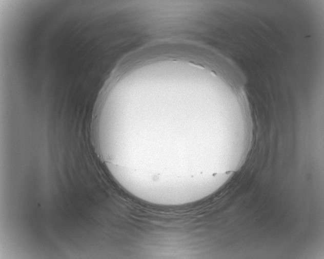 X0000067870705200604131015