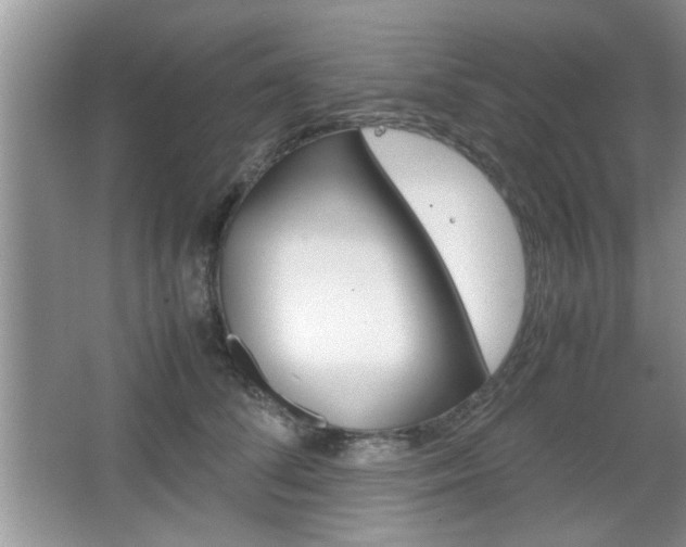 X0000067870708200604131015