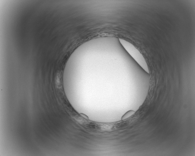 X0000067870709200604131015