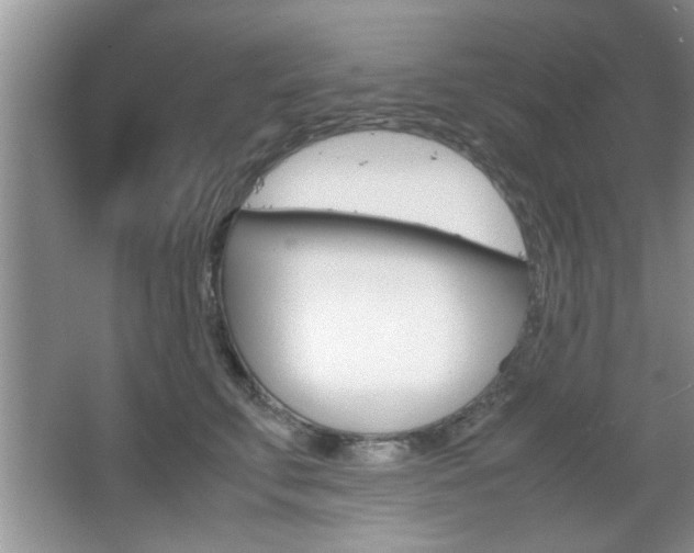 X0000067870711200604131015