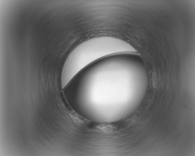 X0000067870712200604131015