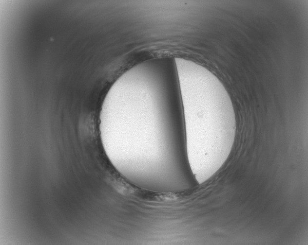 X0000067870715200604131015