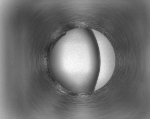 X0000067870716200604131015