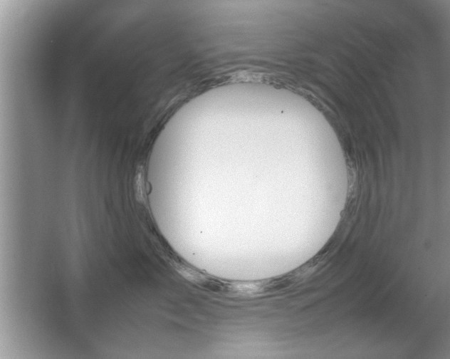 X0000067870717200604131015