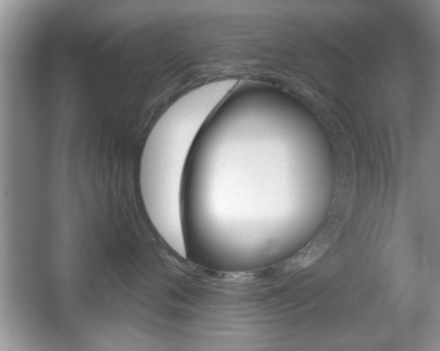 X0000067870720200604131014
