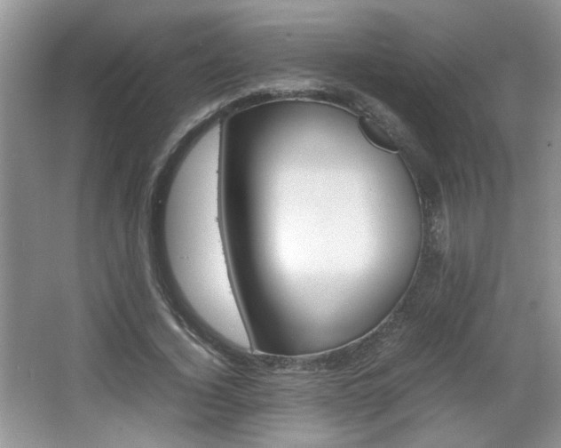 X0000067870732200604131014