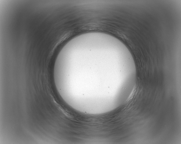 X0000067870735200604131014
