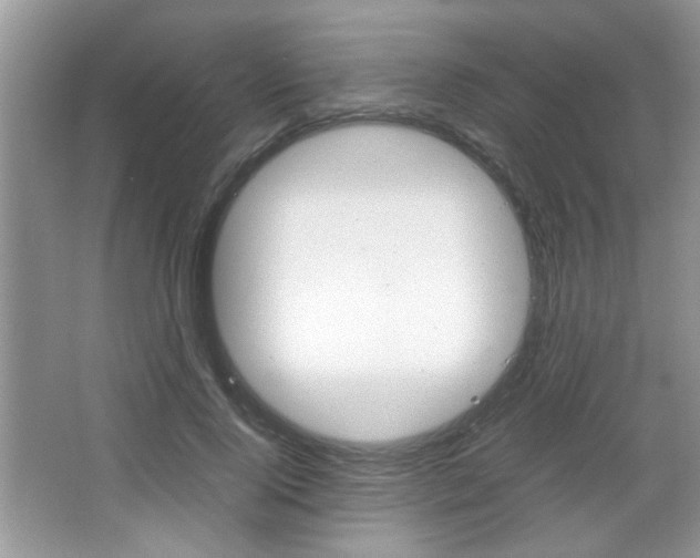 X0000067870740200604131014