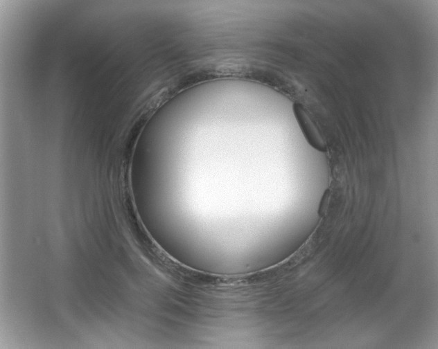 X0000067870744200604131014