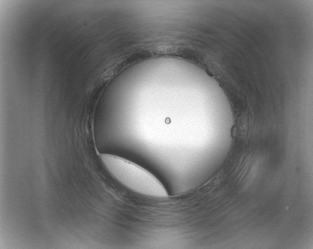 X0000067870746200604131014