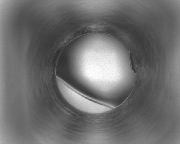 X0000067870752200604131014