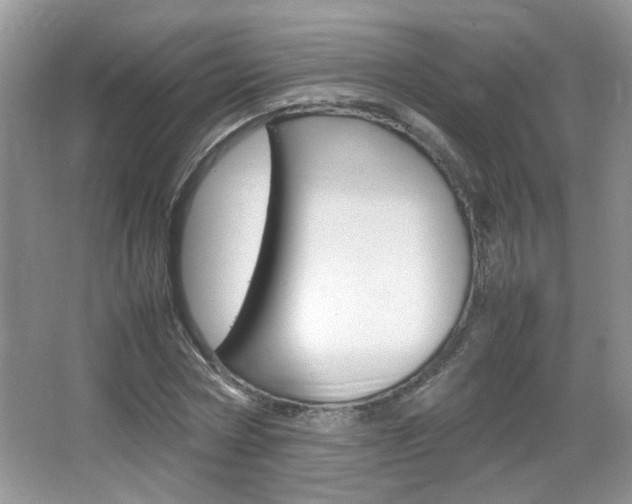 X0000067870778200604131013