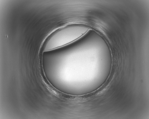 X0000067870779200604131013