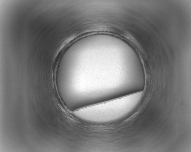 X0000067870781200604131013