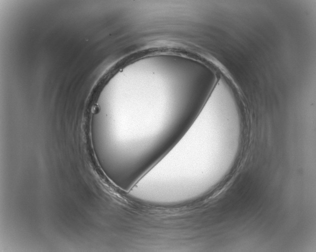 X0000067870783200604131013