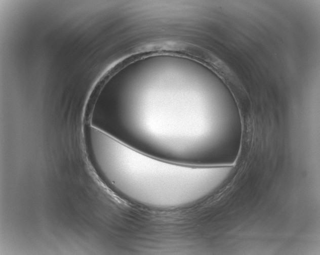 X0000067870784200604131013