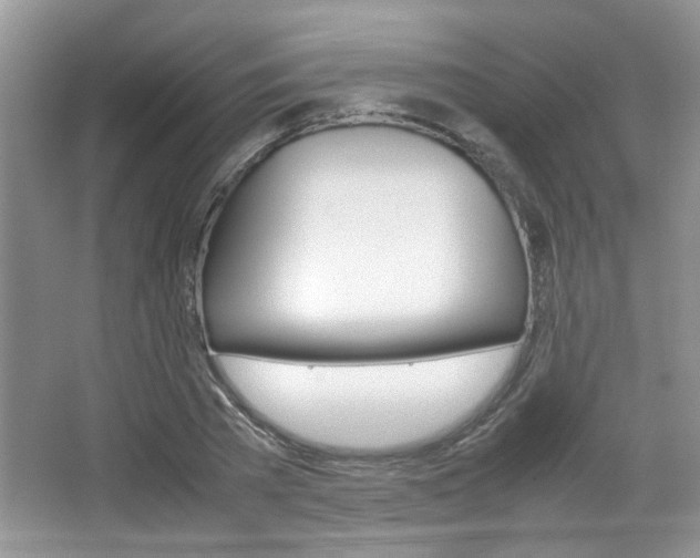X0000067870785200604131013