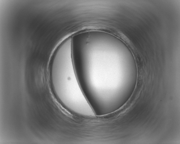 X0000067870787200604131013