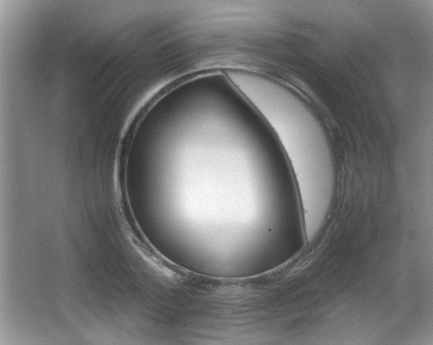 X0000067870788200604131013