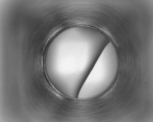 X0000067870790200604131013