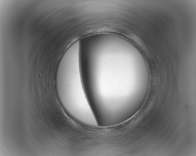 X0000067870793200604131013