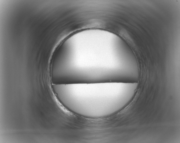 X0000067870800200604131013