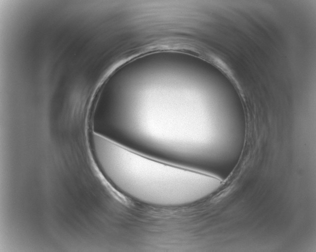 X0000067870803200604131013