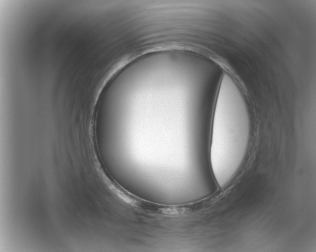 X0000067870805200604131013