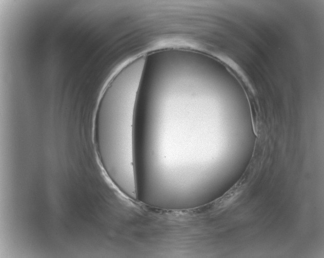 X0000067870815200604131013