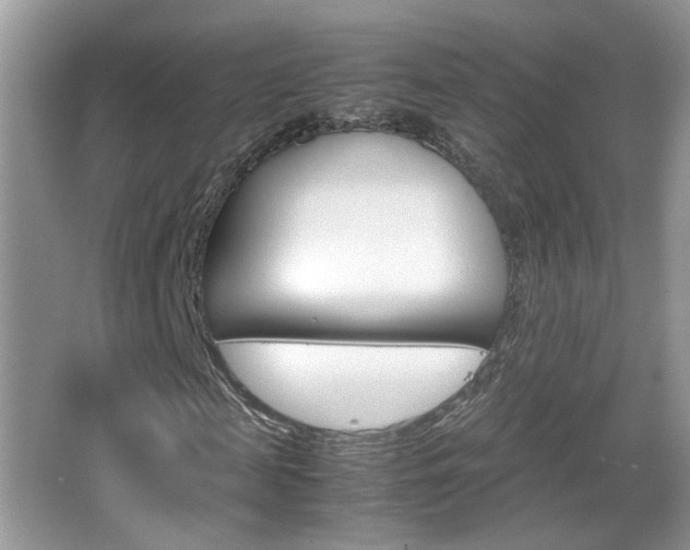 X0000067870817200604131012
