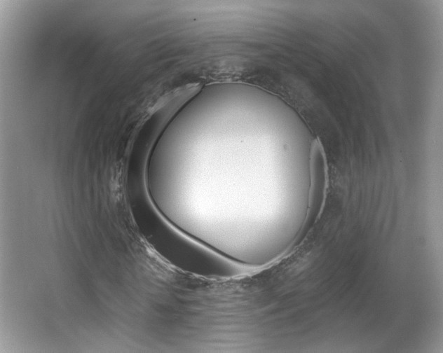 X0000067870818200604131012