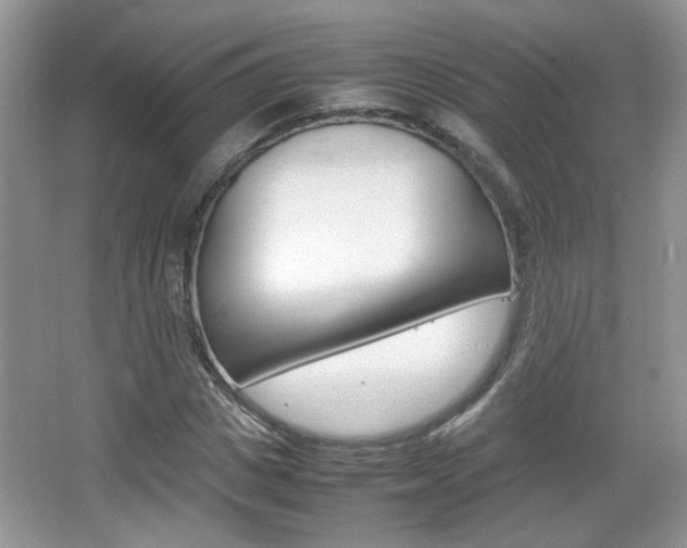 X0000067870825200604131012