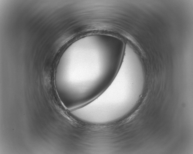 X0000067870826200604131012