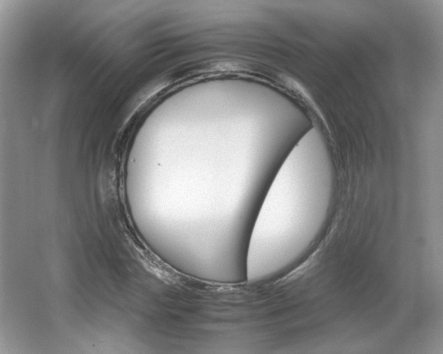 X0000067870827200604131012