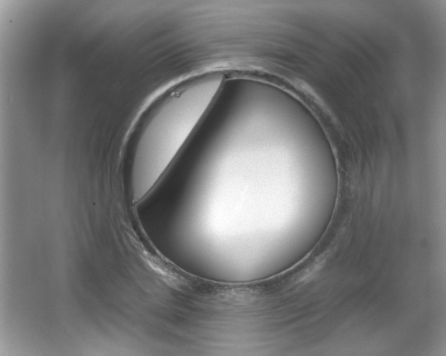X0000067870830200604131012