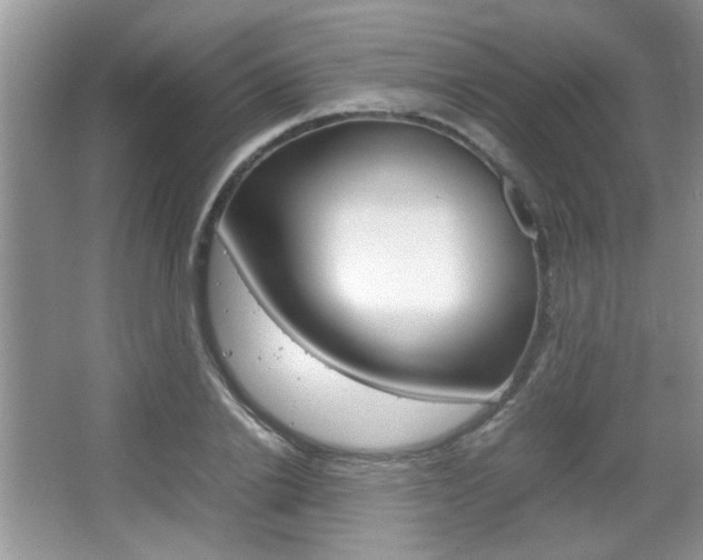 X0000067870838200604131012