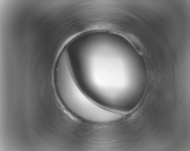 X0000067870846200604131013