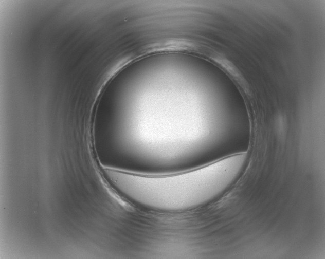 X0000067870850200604131013