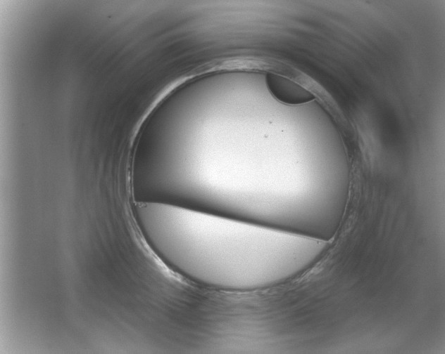 X0000067870852200604131013