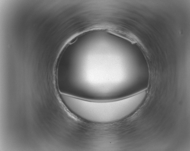 X0000067870854200604131013